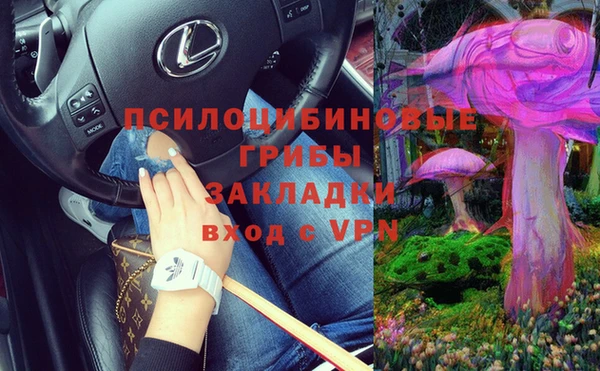 каннабис Болотное