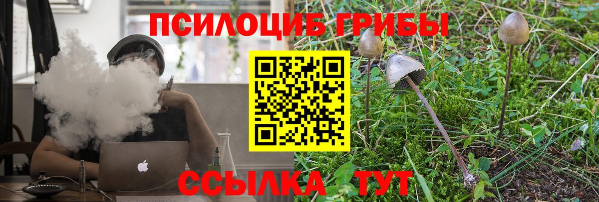 Галлюциногенные грибы GOLDEN TEACHER  Крымск  Галлюциногенные грибы MAGIC MUSHROOMS 