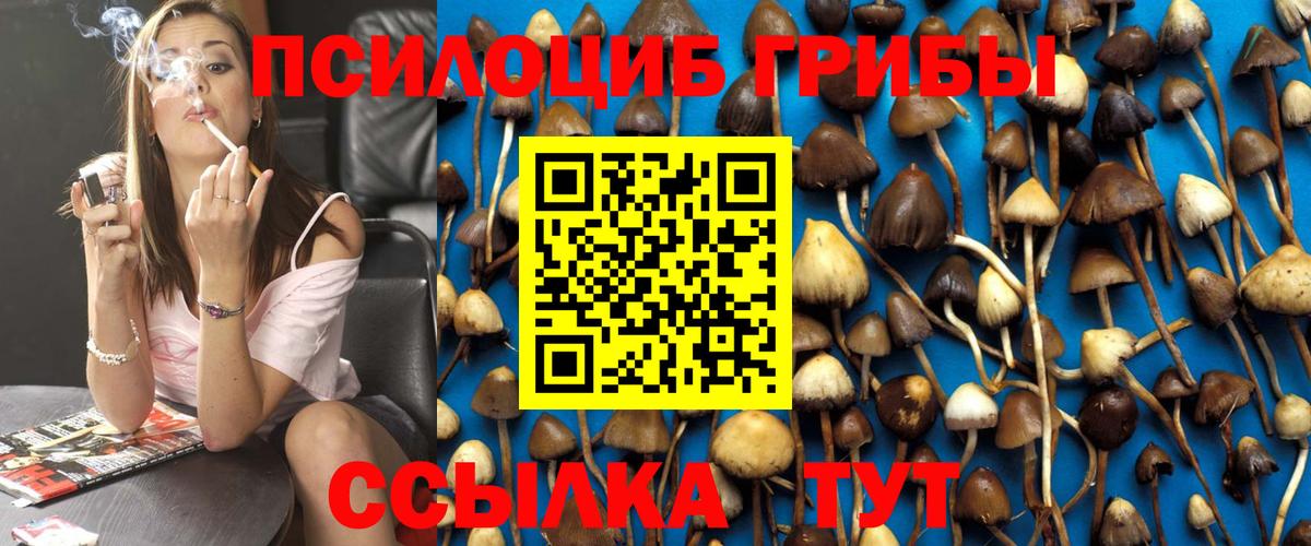 магазин продажи наркотиков  Галлюциногенные грибы GOLDEN TEACHER  Псилоцибиновые грибы Psilocybine cubensis  Вход с VPN  Крымск 