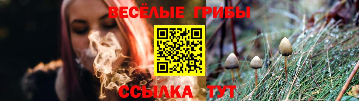 Псилоцибиновые грибы Cubensis Крымск